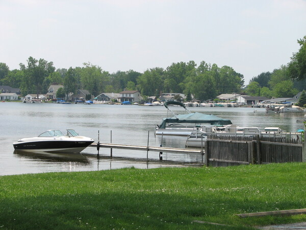 Focus Group Forming For Possible Aquatic Weed Control SAD