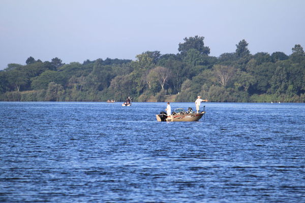 Advisory Issued After Contamination Detected In Kent Lake Fish