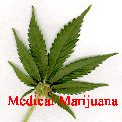 Medical Marijuana Forum Cancelled Due To Zero Attendance