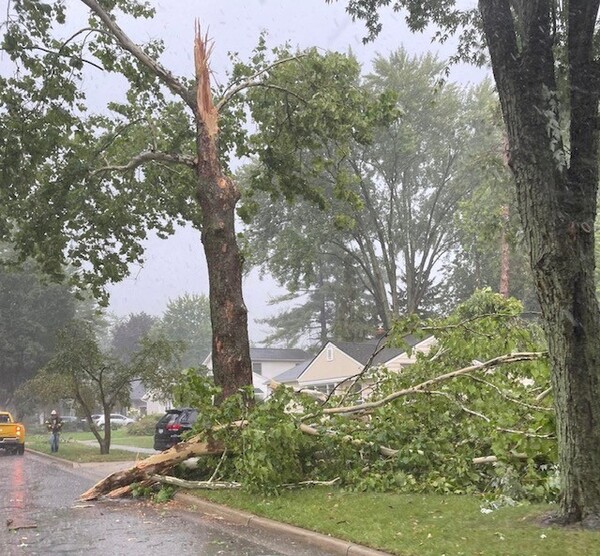Melon Festival to Resume Sunday After Storms Downed Trees, Knocked Out Power