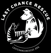 Last Chance Rescue